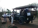 Game viewing, Hluhluwe-Umfolozi Game Reserve - Copyright  Explore Africa Tours and Safaris