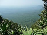 God's Window, Panorama Escarpment - Copyright  Explore Africa Tours & Safaris